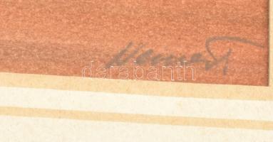 Nemes Tibor (1955-): Balaton. Akvarell, papír, jelzett. Üvegezett fa keretben, 32×44 cm