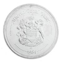 Amerikai Egyesült Államok 1984. "II. János Pál látogatása" Ag emlékérem eredeti tokban, ta...