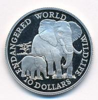 Cook-szigetek 1990. 10$ Ag Afrikai elefánt T:1- (PP) ujjlenyomat Cook Islands 1990. 10 Dollars African elephant C:PP fingerprint Krause KM#80