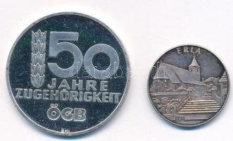 Ausztria DN "Osztrák Szakszervezeti Szövetség" jelzett Ag emlékérem (10,27g/0.900/30mm) + ...