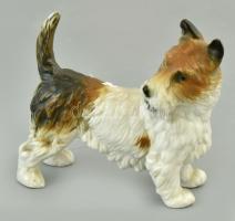 Ens porcelán foxi kutya, jelzett, hibátlan, m: 11 cm