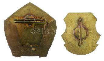 ~1970-1980. "MN (Magyar Néphadsereg)" műgyantás tankos jelvény (29x27mm) + "Szocialis...