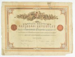 1887 Békés Megyei Gazdasági Egyesület Tótkomlósón tartott kiállítása alkalmából, Vaskovits Erzsébet részére kiadott díszes litografált oklevele. Szakadt, foltos, 38x52 cm