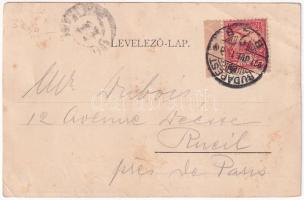 1901 Siófok, Kikötő, Baross gőzös, gőzhajó. Schwarcz Bernát kiadása. Erdélyi cs. és kir. udvari fény...