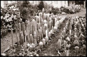 1976 Erdélyben és Romániában készült felvételek, a csomagoláson dokumentálva az útvonal, Krisch Béla...