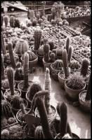 1976 Erdélyben és Romániában készült felvételek, a csomagoláson dokumentálva az útvonal, Krisch Béla...