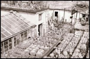 1976 Erdélyben és Romániában készült felvételek, a csomagoláson dokumentálva az útvonal, Krisch Béla...