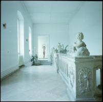 Menesdorfer Lajos (1941-2005) budapesti fotóművész hagyatékából 13 db vintage NEGATÍV sokféle témáró...