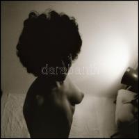 Bőbájos hölgyek, eltérő helyszíneken, különböző időpontokban készült akt felvételek, Menesdorfer Laj...