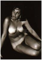 Bugyivillantások miegyébbel bolondítva, eltérő helyszíneken, különböző időpontokban készült akt felv...