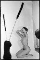 Különböző időpontokban, eltérő helyszíneken készült akt felvételek, vegyes válogatás több életműből,...