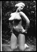 Különböző időpontokban, eltérő helyszíneken készült akt felvételek, vegyes válogatás több életműből,...