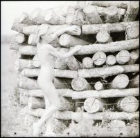 Ragyogó formák bűvöletében, eltérő időpontokban készült akt felvételek, Menesdorfer Lajos (1941-2005...