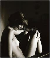 Ragyogó formák bűvöletében, eltérő időpontokban készült akt felvételek, Menesdorfer Lajos (1941-2005...