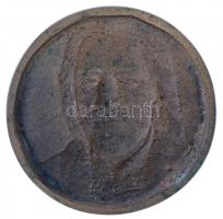 Domonkos Béla (1934-) DN "Ráday Pál" öntött Br emlékplakett (108mm) T:2
