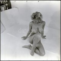 Mellbedobással mindig győznek, eltérő időpontokban készült akt felvételek, Menesdorfer Lajos (1941-2...