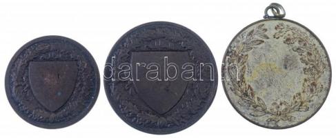 Berán Lajos (1882-1943) 1930. "Budapesti (Budai) Torna Egylet 1869 - Botond / Kinizsy" Br ...