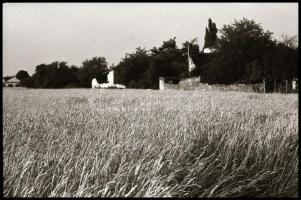 1978 Kőbánya feliratú negatívtartó tasakokban összesen 114 db vintage NEGATÍV, 24x36 mm