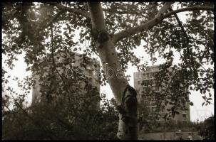 1978 Kőbánya feliratú negatívtartó tasakokban összesen 114 db vintage NEGATÍV, 24x36 mm