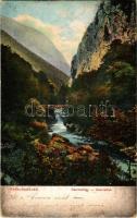 1907 Herkulesfürdő, Baile Herculane; Cserna-völgy, híd. Krizsány R. kiadása / Cerna valley, bridge (EK)