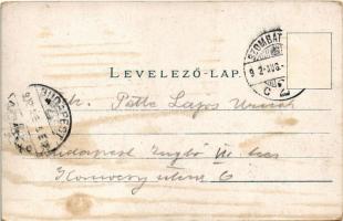 1902 Szombathely, Premontreiek bérháza, Főgimnázium. Granitz Vilmos kiadása. No. 1896. Art Nouveau, ...