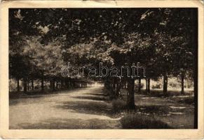 1934 Gödöllő, Erzsébet királyné park. Krummer G. felvétele. Storcz B. Mátyás kiadása (szakadás / tear)