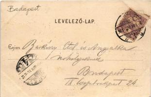 1901 Budapest III. Rómaifürdő, Római fürdő; Vendéglő, étterem. Divald Károly műintézetéből (kicsit á...