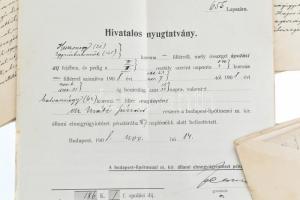 cca 1908-1909 Dr. Máthé Sándor M. kir. Tudományegyetem könyvtárőrének lipótmezei elmegyógyintézetben...