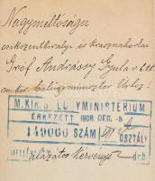 cca 1908-1909 Dr. Máthé Sándor M. kir. Tudományegyetem könyvtárőrének lipótmezei elmegyógyintézetben...