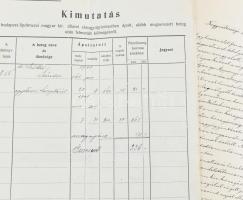 cca 1908-1909 Dr. Máthé Sándor M. kir. Tudományegyetem könyvtárőrének lipótmezei elmegyógyintézetben...