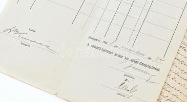 cca 1908-1909 Dr. Máthé Sándor M. kir. Tudományegyetem könyvtárőrének lipótmezei elmegyógyintézetben...