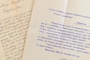 cca 1908-1909 Dr. Máthé Sándor M. kir. Tudományegyetem könyvtárőrének lipótmezei elmegyógyintézetben...