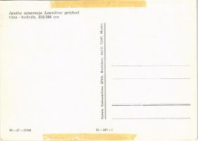 Pozsony, Pressburg, Bratislava; "Janthe oznamuje Leandrov príchod" Radnicné gobelíny / Vár...