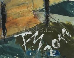 T M 2011 jelzéssel: Éjjeli biciklizés a városban. Olaj, farost. 50x60cm