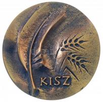 DN KISZ / A KISZ falusi munkájának támogatásáért Br emlékérem, eredeti tokban (74mm) T:1-
