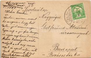 Tolvád, Tolvadia, Livezile; látkép / general view. photo