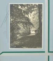 25 db művészi fotó az 1930-as évekből: Róma, Velence, portrék. Kartonon, feliratozva a hátoldalán. F...