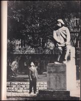 Jávori Béla (szerk.): Kaposvár szobrai. Kaposvár, 1978, Kaposvári Városi Tanács. Fekete-fehér képekk...