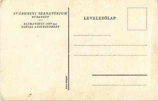 Budapest XII. Svábhegyi Szanatórium Klimatikus Diétás Gyógyintézet reklámlapja. Globus (fa)