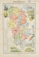 cca 1895 Torontál vármegye közigazgatási térképe, rajzolta: Hátsek Ignác, 1: 500 000, Lampel Róbert, szakadással, 54,5×38 cm