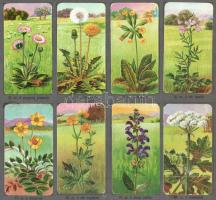 cca 1910 Virágokat ábrázoló litho kártyák, 24 db (3×8), gyűjtőlapokon, némelyik gyűrődésekkel