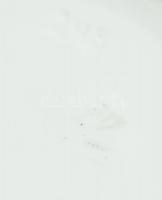 Herendi fehér mázas porcelán bonbonniere. Rózsás díszítéssel. Jelzett, hibátlan. d: 19 cm, m: 14 cm