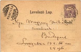 1900 Budapest V. Pesti rakpart, Gellérthegy és bal parti részlet, gőzhajó, Citadella. Ganz Antal 16....