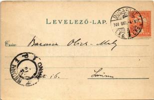 1901 Budapest XIV. Városligeti körönd. G. Rüger & Co. (EK)