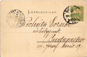 1904 Budapest XIII. Margitsziget, József főherceg kastélya. Ganz Antal 85