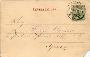 1907 Budapest IX. Üllői út, Heinrich udvar, Salgó Sándor fényképészete, műterem, Heinrich és fia üzl...