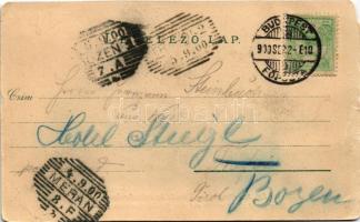 1900 Budapest XIII. Margitsziget, vízesés és gyógyforrás. Ganz Antal 104. (EM)