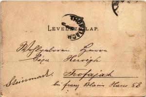 1900 Budapest XIII. Margitszigeti kávéház. Ganz Antal 96. (fa)