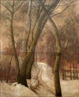 Olgyai Viktor (1870-1929): Téli erdőbelső. Olaj, vászon, jelzett. Hátoldalán régi, feltehetően műcsarnoki kiállítási, hiányos raglappal. Korabeli dekoratív, kissé sérült fa keretben, 115×92 cm