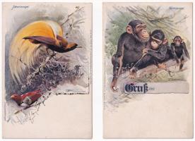 20 db főleg MODERN állatos motívum képeslap / 20 mostly modern animal motive postcards